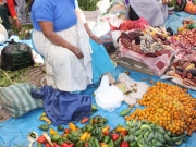 perudovolena