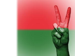 Vlajka madagaskaru