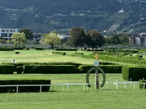 Merano dostihy
