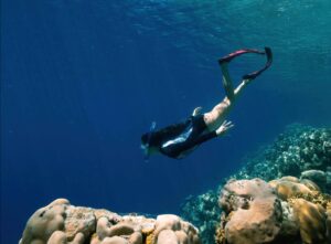 Manta Milaidhoo